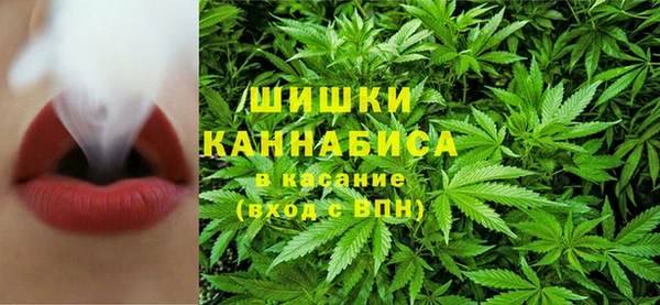 дживик Абинск