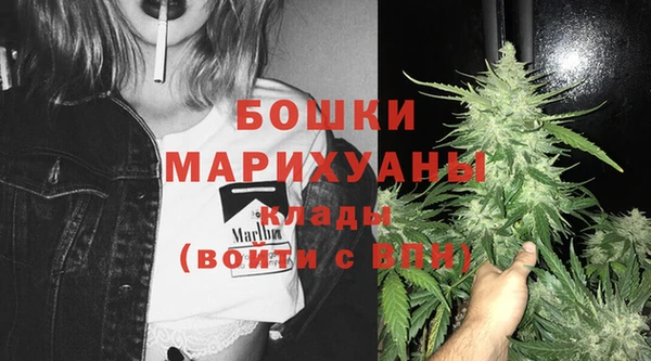 дживик Абинск