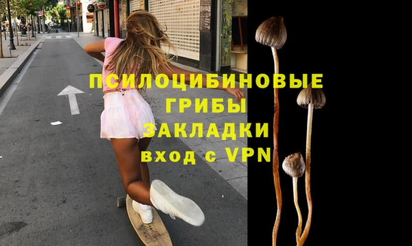 дживик Абинск