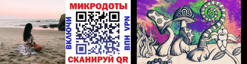 Псилоцибиновые грибы GOLDEN TEACHER  Рославль 